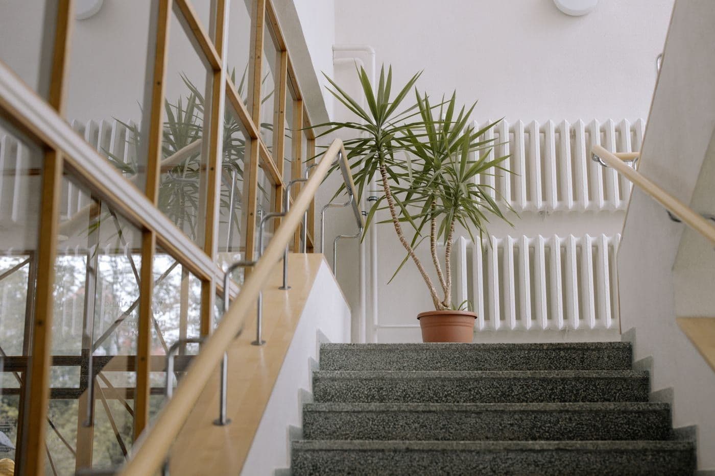 Cage d'escalier d'immeuble entretenue, marches en granito et rampe en bois